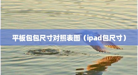 平板包包尺寸对照表图（ipad包尺寸）