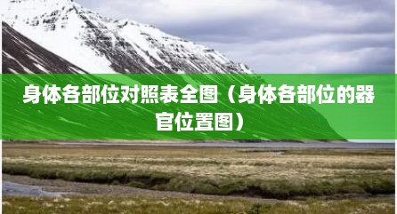 身体各部位对照表全图（身体各部位的器官位置图）
