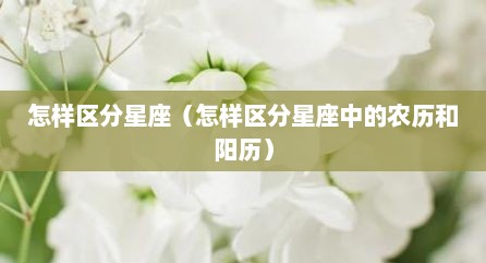 怎样区分星座（怎样区分星座中的农历和阳历）