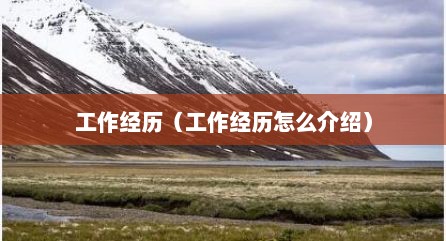 工作经历（工作经历怎么介绍）