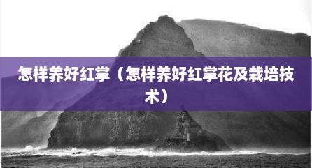 怎样养好红掌（怎样养好红掌花及栽培技术）
