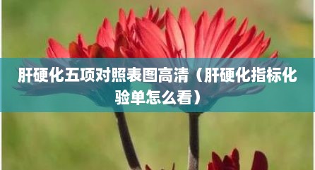 肝硬化五项对照表图高清（肝硬化指标化验单怎么看）
