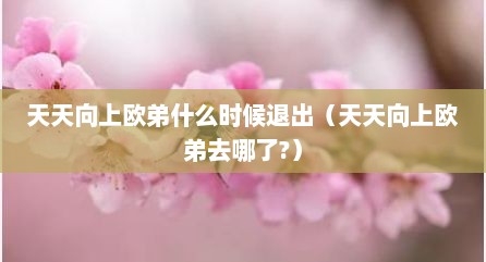 天天向上欧弟什么时候退出（天天向上欧弟去哪了?）