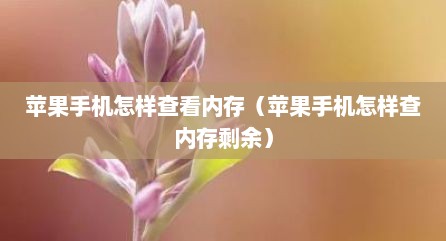 苹果手机怎样查看内存（苹果手机怎样查内存剩余）