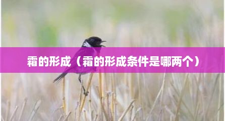 霜的形成（霜的形成条件是哪两个）