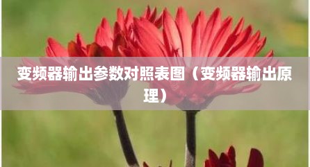 变频器输出参数对照表图（变频器输出原理）