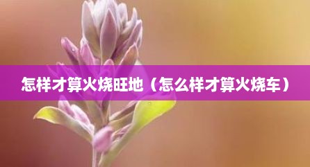 怎样才算火烧旺地（怎么样才算火烧车）