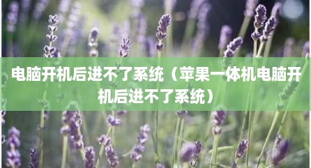 电脑开机后进不了系统（苹果一体机电脑开机后进不了系统）