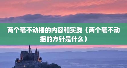 两个毫不动摇的内容和实践（两个毫不动摇的方针是什么）