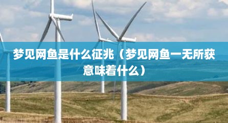 梦见网鱼是什么征兆（梦见网鱼一无所获意味着什么）