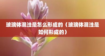 玻璃体混浊是怎么形成的（玻璃体混浊是如何形成的）