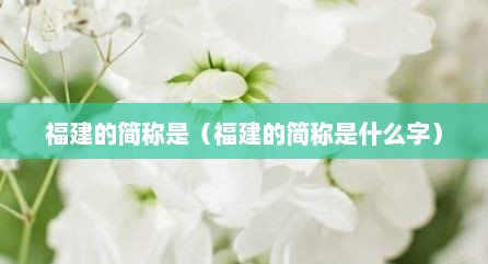 福建的简称是（福建的简称是什么字）