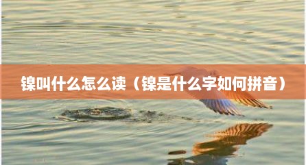 镍叫什么怎么读（镍是什么字如何拼音）