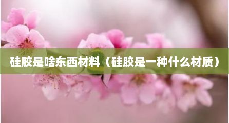硅胶是啥东西材料（硅胶是一种什么材质）