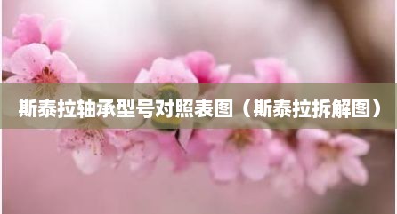 斯泰拉轴承型号对照表图（斯泰拉拆解图）