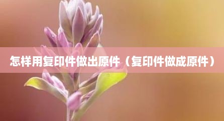 怎样将复印件做成原件的效果（如何把复印件变成原件）