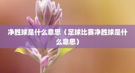 净胜球是什么意思（足球比赛净胜球是什么意思）