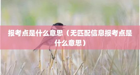 报考点是什么意思（无匹配信息报考点是什么意思）