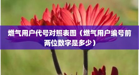燃气用户代号对照表图（燃气用户编号前两位数字是多少）