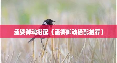 孟婆御魂搭配（孟婆御魂搭配推荐）