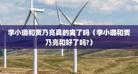 李小璐和贾乃亮真的离了吗（李小璐和贾乃亮和好了吗?）