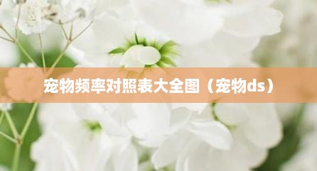 宠物频率对照表大全图（宠物ds）