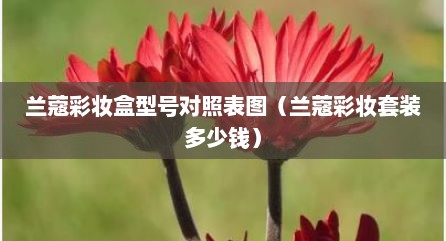 兰蔻彩妆盒型号对照表图（兰蔻彩妆套装多少钱）