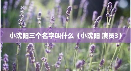 小沈阳三个名字叫什么（小沈阳 演员3）