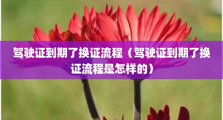 驾驶证到期了换证流程（驾驶证到期了换证流程是怎样的）
