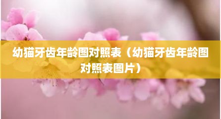 幼猫牙齿年龄图对照表（幼猫牙齿年龄图对照表图片）