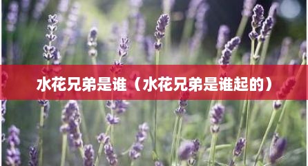 水花兄弟是谁（水花兄弟是谁起的）