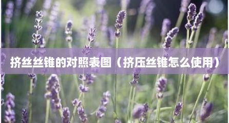 挤丝丝锥的对照表图（挤压丝锥怎么使用）