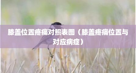 膝盖位置疼痛对照表图（膝盖疼痛位置与对应病症）