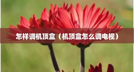 怎样调机顶盒（机顶盒怎么调电视）