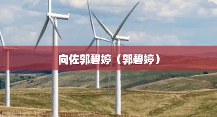 向佐郭碧婷（郭碧婷）