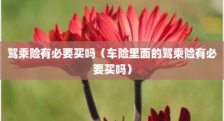 驾乘险有必要买吗（车险里面的驾乘险有必要买吗）
