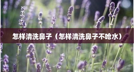 怎样清洗鼻子（怎样清洗鼻子不呛水）