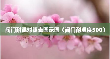 阀门耐温对照表图示图（阀门耐温度500）