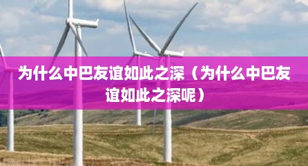 为什么中巴友谊如此之深（为什么中巴友谊如此之深呢）