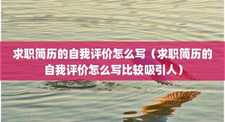 求职简历的自我评价怎么写（求职简历的自我评价怎么写比较吸引人）