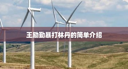 王励勤暴打林丹的简单介绍