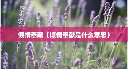 倾情奉献（倾情奉献是什么意思）