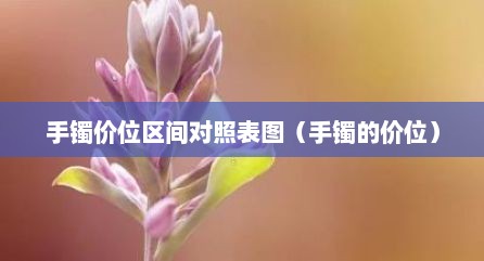 手镯价位区间对照表图（手镯的价位）