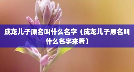 成龙儿子原名叫什么名字（成龙儿子原名叫什么名字来着）