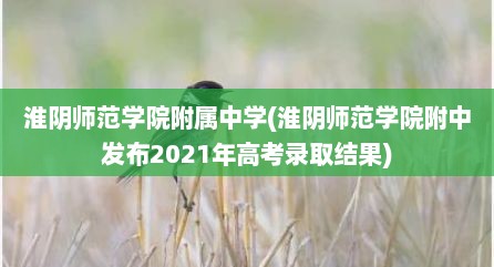 淮阴师范学院附属中学(淮阴师范学院附中发布2021年高考录取结果)