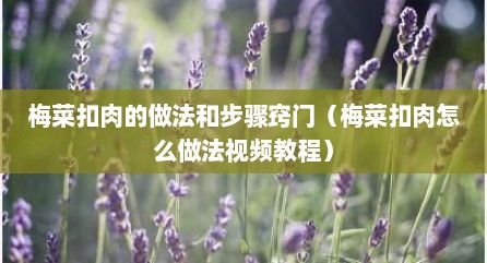 梅菜扣肉的做法和步骤窍门（梅菜扣肉怎么做法视频教程）