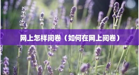 网上怎样阅卷（如何在网上阅卷）