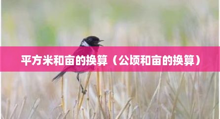 平方米和亩的换算（公顷和亩的换算）