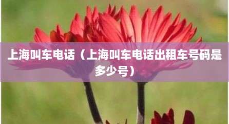 上海叫车电话（上海叫车电话出租车号码是多少号）