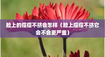 脸上的痘痘不挤会怎样（脸上痘痘不挤它会不会更严重）